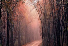 九游娱乐网站-河床核心球员体能恢复，备战西悉尼流浪者