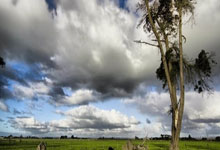 九游娱乐首页-摩洛哥瓦赫达中场控制加强，争取比赛主动权