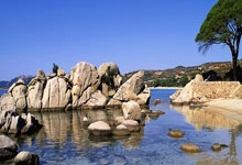 九游娱乐网站-河床核心球员体能恢复，备战西悉尼流浪者