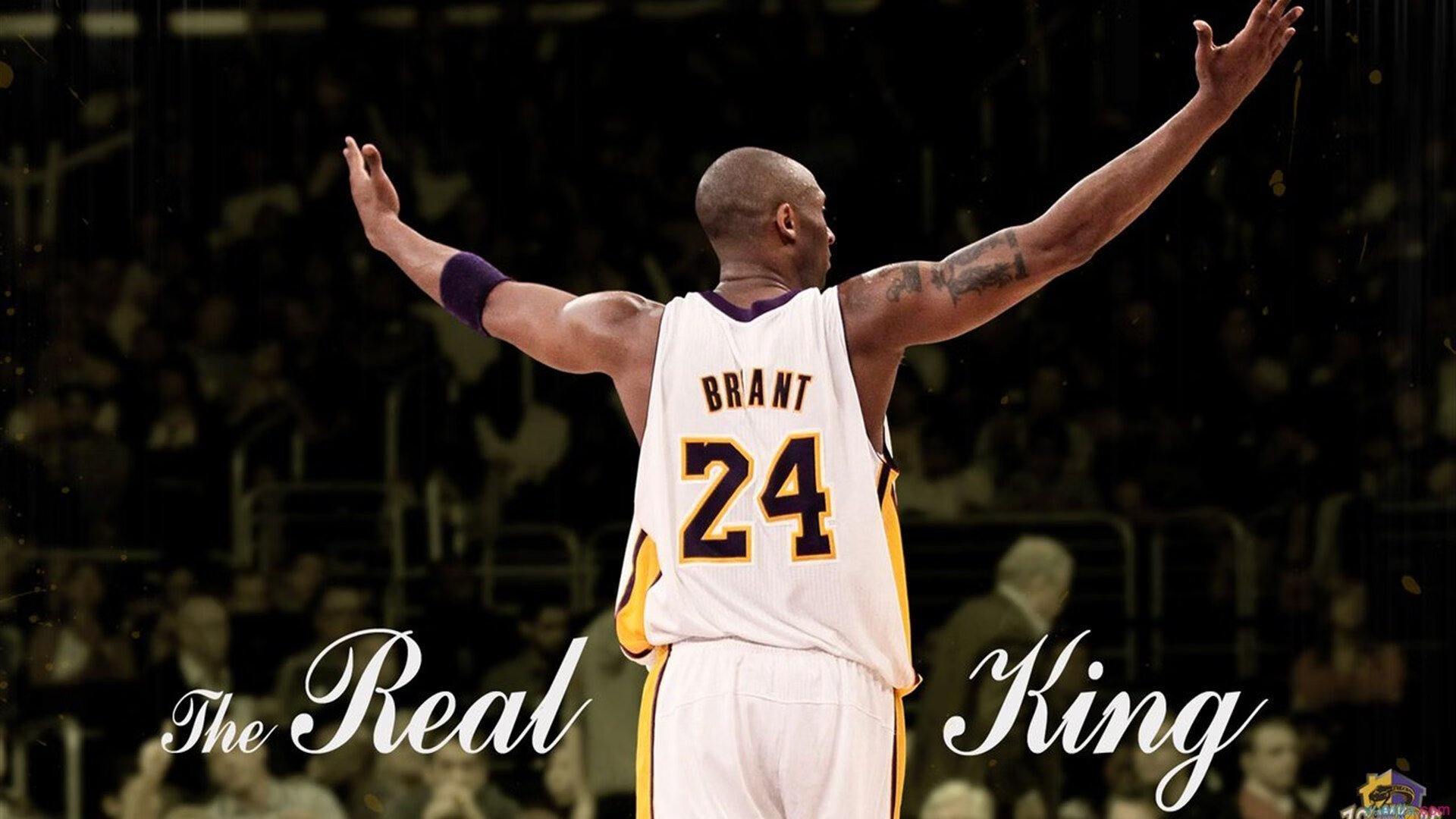 双冠加冕，铁血统治，德约科维奇从团队狂欢到王座的孤独咆哮